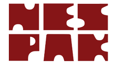 National Engineering Services Pakistan (Pvt.) Ltd (NESPAK)